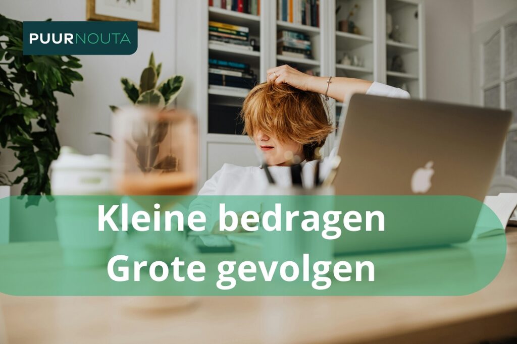 Kleine bedragen kunnen grote gevolgen hebben. - PUURNouta Deurwaarder en Incasso